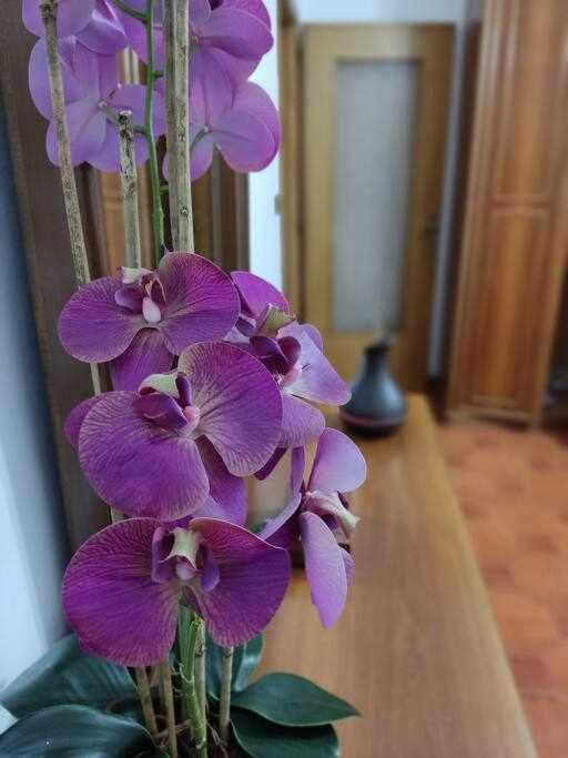 Casa Vacanza Il Corbetto Di Michela & Matteo Locana 外观 照片